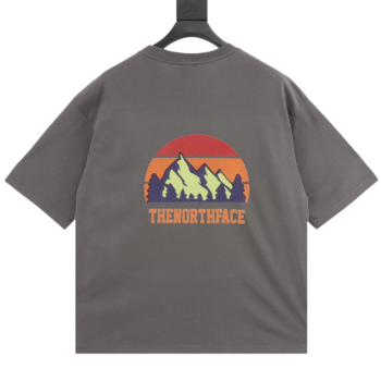 The North Face  Unisex Same Style T-Shirts