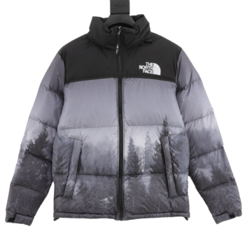 The North Face Down Jacket