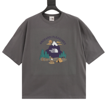 The North Face Couple Model T-Shirts